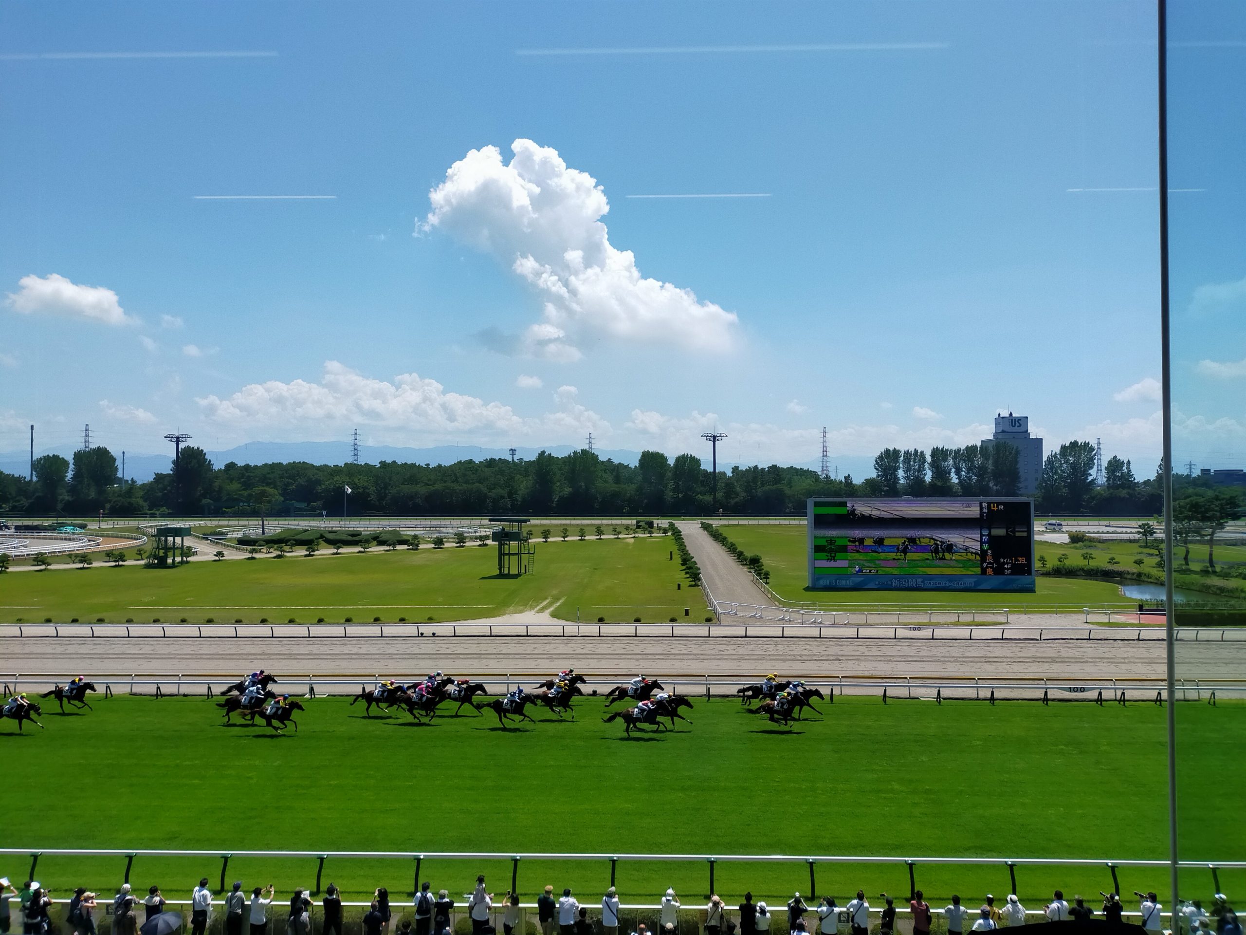 A指定席ペアから見た競馬場の芝コース